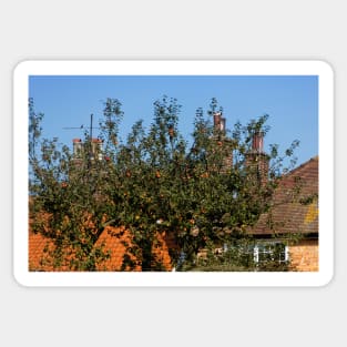 Apple tree Sticker